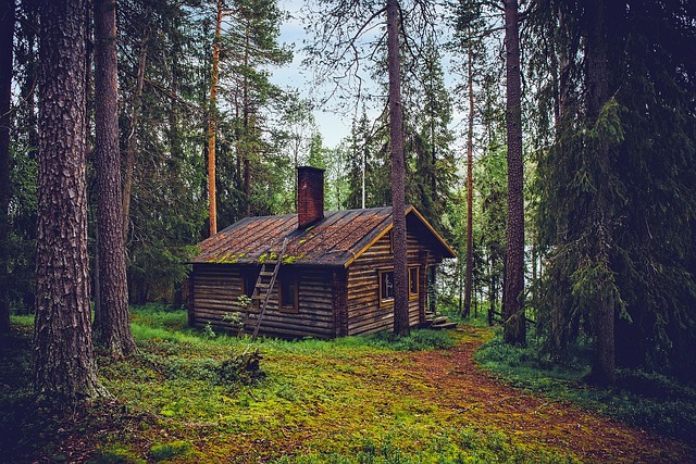 小木屋 小屋 房子 - 上的免费照片