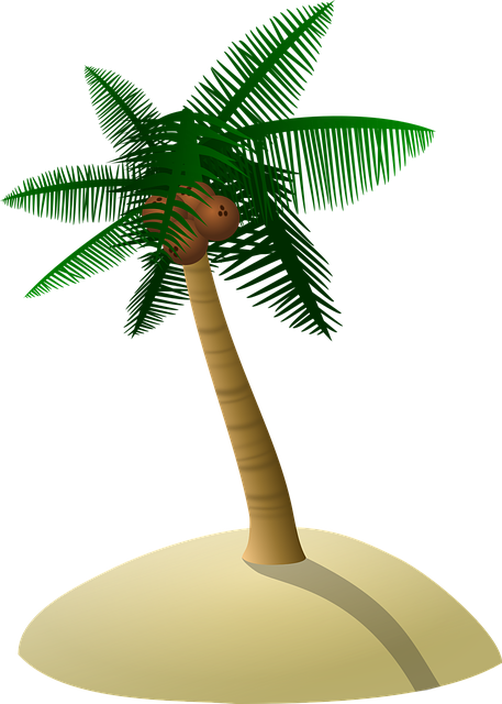 椰子树 棕榈树 沙丘 - 免费矢量图形