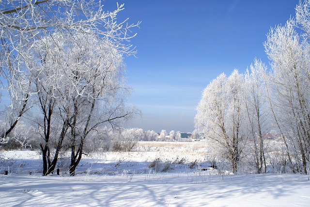 冬季 景观 雪 - 上的免费照片