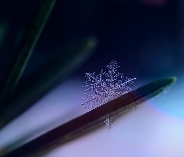 雪花 雪 冰晶 - 上的免费照片