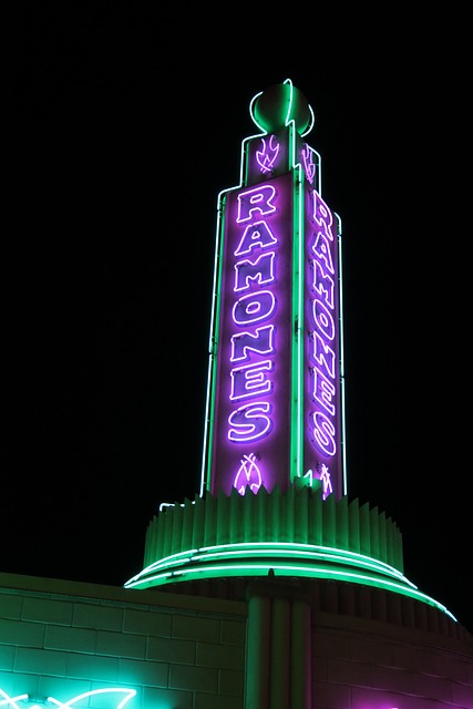 雷蒙斯 迪士尼乐园 赛车手 - 上的免费照片