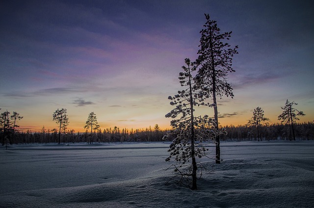 冬天 景观 雪 - 上的免费照片
