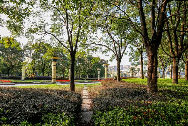 径 绿 浙江大学 - 上的免费照片