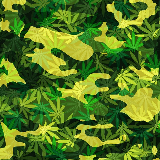 大麻 伪装 药品 - 上的免费图片