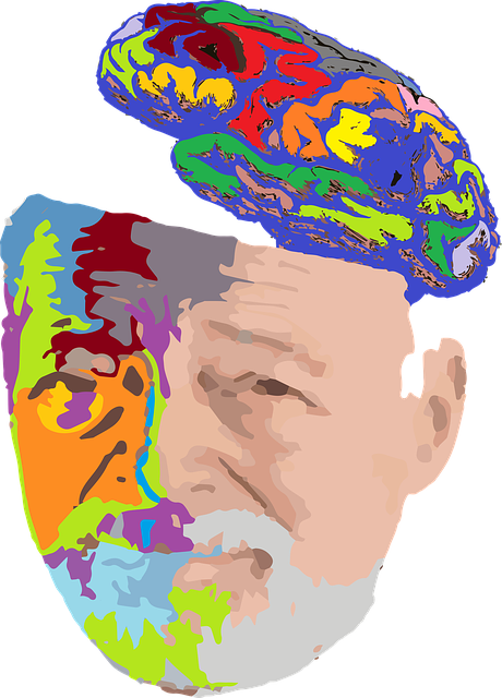 老人 肖像 脑 - 上的免费图片