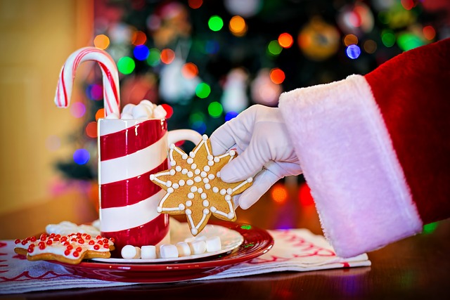 圣诞老人 热巧克力 圣诞饼干 - 上的免费照片