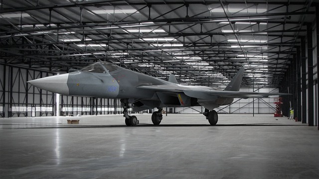 苏霍伊 T50 Pak-Fa 飞机 - 上的免费照片