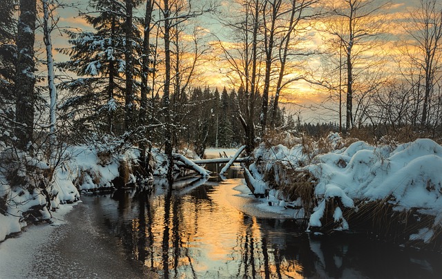 景观 冬天 自然 - 上的免费照片