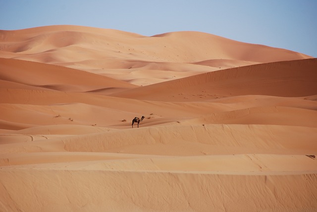 沙漠 砂 沙丘 - 上的免费照片