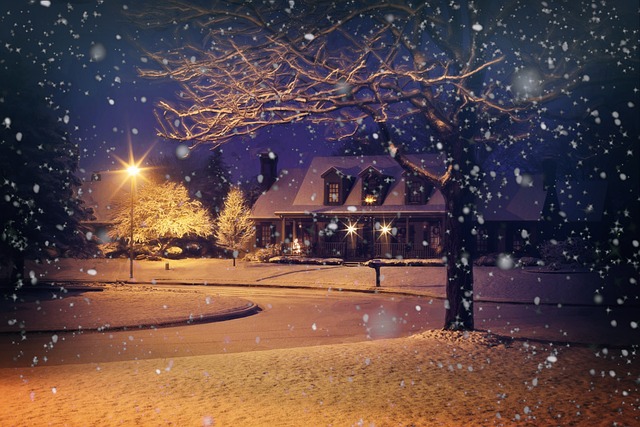 午夜雪 夜雪 下雪的 - 上的免费照片