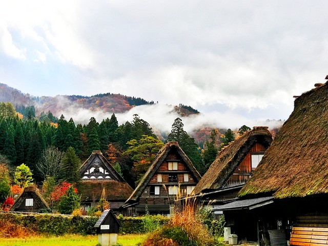 自然遺產 日本 岐阜 - 上的免费照片