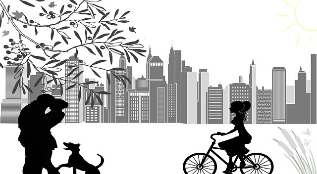 城市 郊区的 娱乐 - 上的免费图片