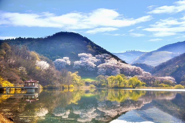 韩国 景观 大韩民国 - 上的免费照片