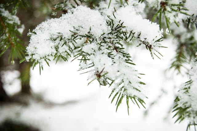 湖Misurina 雪 圣诞节 - 上的免费照片