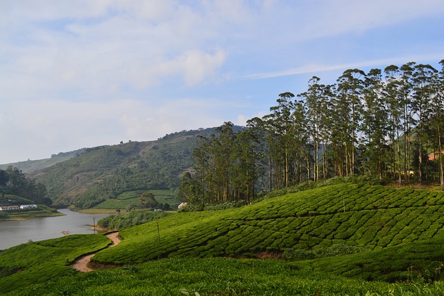 Meghamalai 丘陵 然后我 - 上的免费照片
