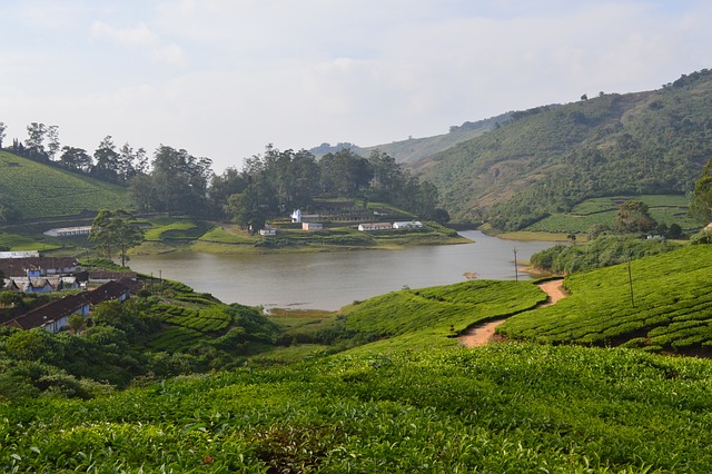 Meghamalai 丘陵 然后我 - 上的免费照片