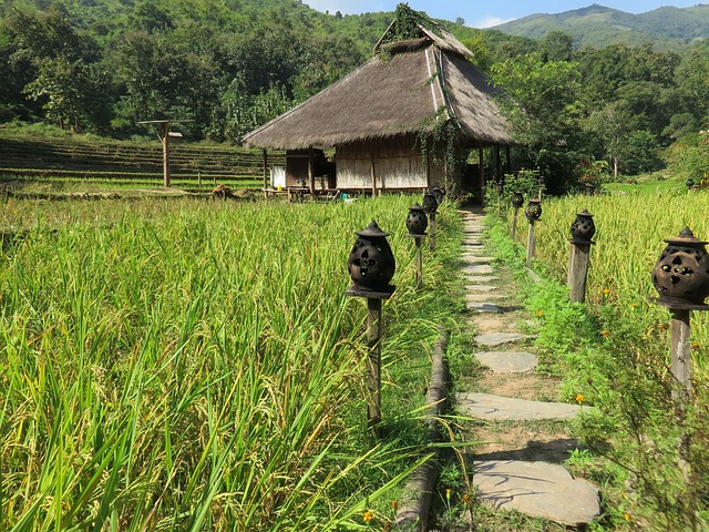 老挝 高地 卡姆旅馆 - 上的免费照片