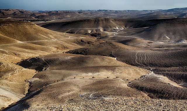 死海 大篷车 骆驼 - 上的免费照片
