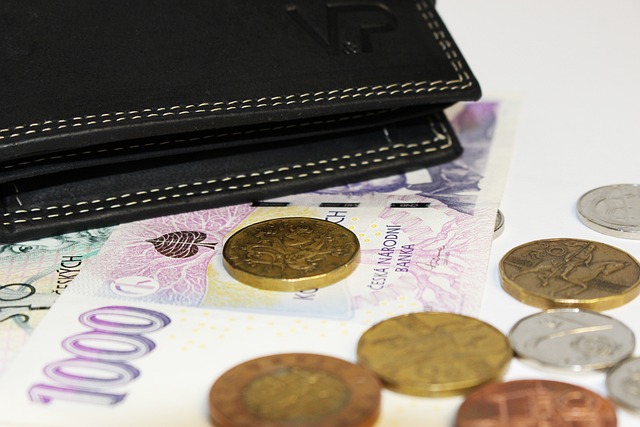 钱 钱包 票据 - 上的免费照片