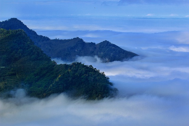 多雾路段 雲海 雲 - 上的免费照片