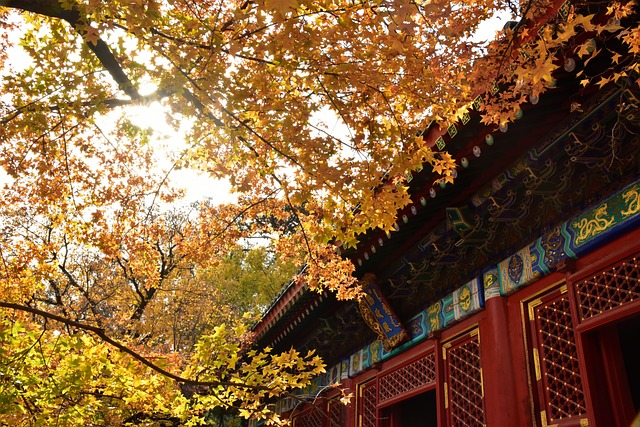 古建筑 北京 香山 - 上的免费照片