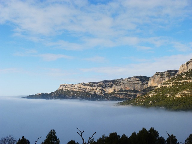 雾 雾海 雾化 - 上的免费照片