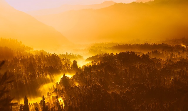 日出 丛林 谷 - 上的免费照片