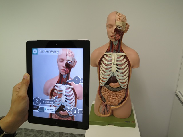 增强现实 医疗的 3D - 上的免费照片