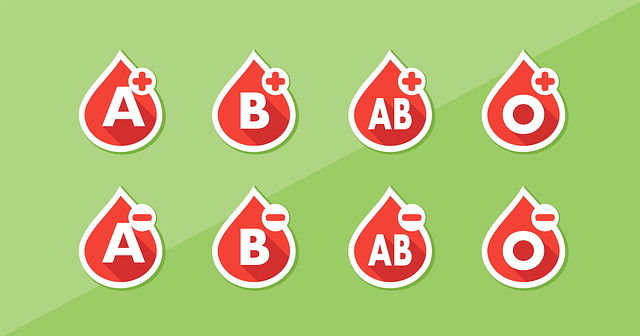 血 血型 列表 - 免费矢量图形