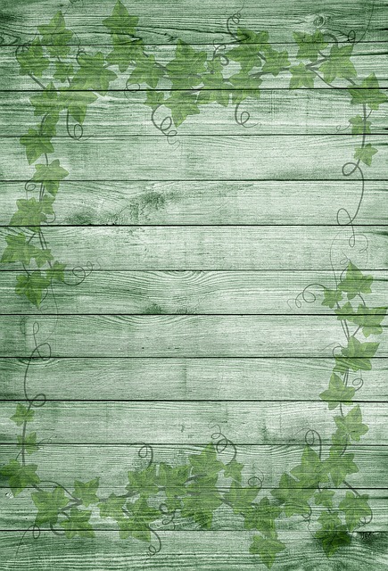 在木材上 绿色 自然 - 上的免费图片