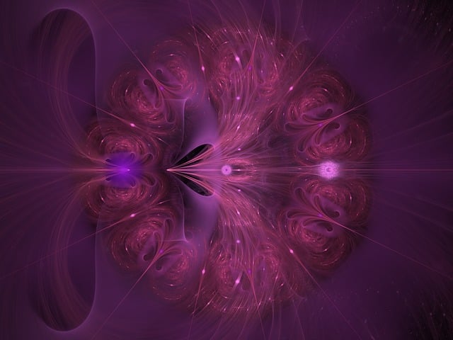 分形 数学 复杂性 - 上的免费图片