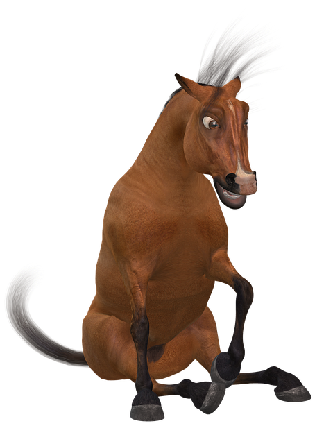 马 香椿 搞笑 - 上的免费图片