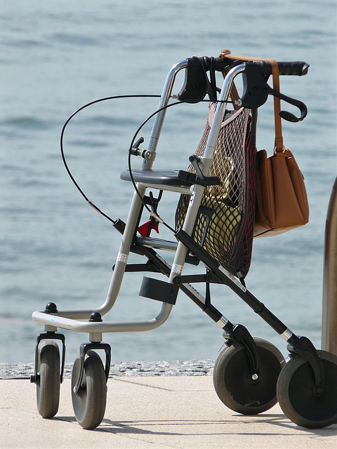Rollator 沃克 年长者 - 上的免费照片