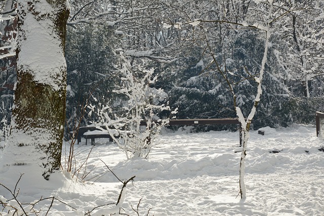 雪 冰皮月饼 景观 - 上的免费照片