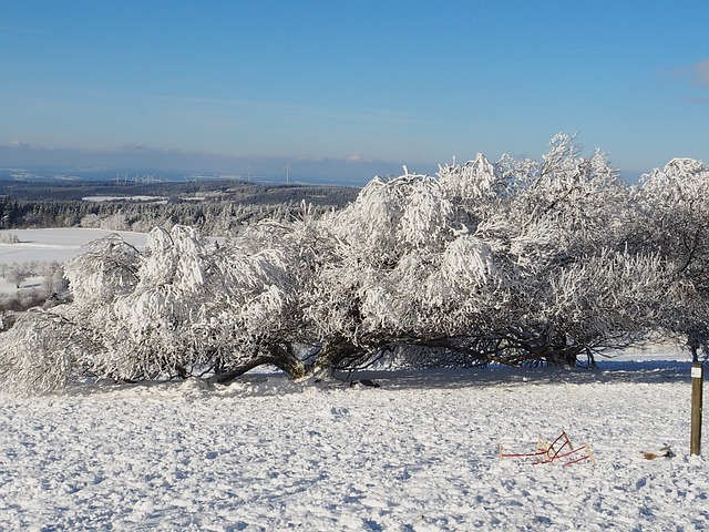 冬季景观 雪 冬天 Vogelsberg - 上的免费照片