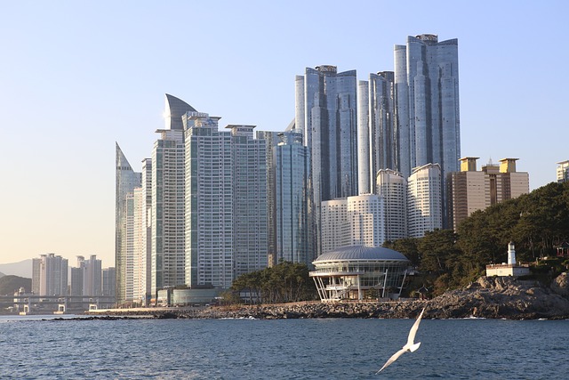 海云台海水浴场 海鸥 努里地板 - 上的免费照片