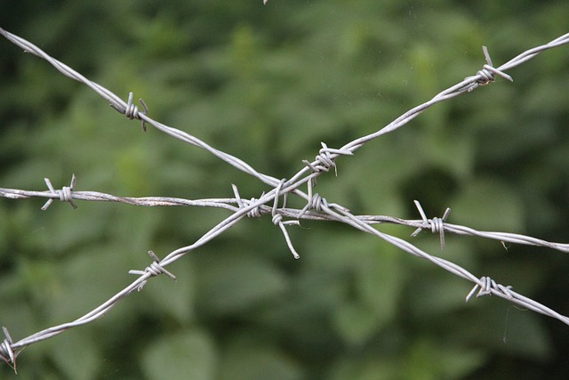 奴役 历史 - 上的免费照片