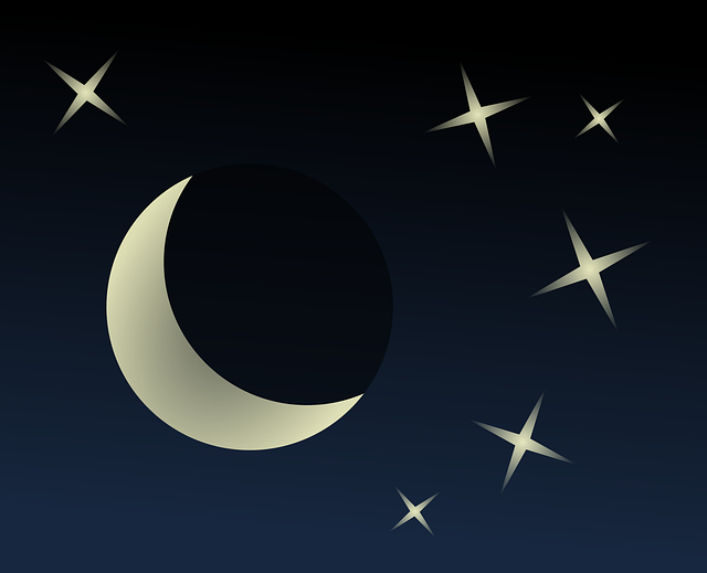 天空 夜 月亮 - 免费矢量图形