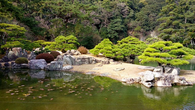 栗林公园 四国 日本 - 上的免费照片