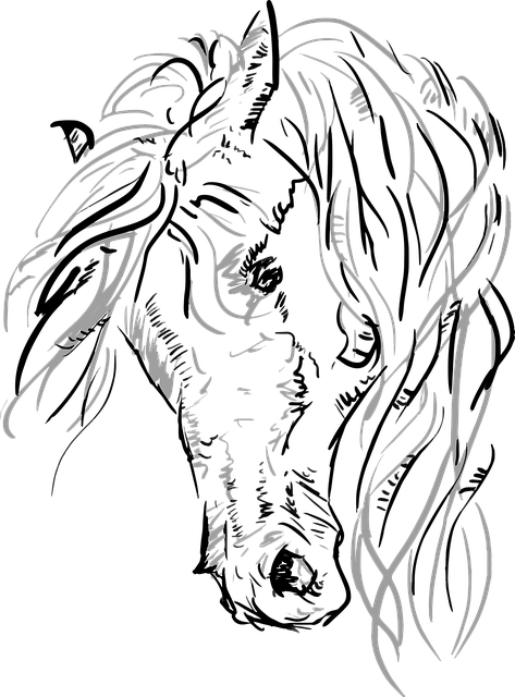 向量 一匹马 马头 - 免费矢量图形