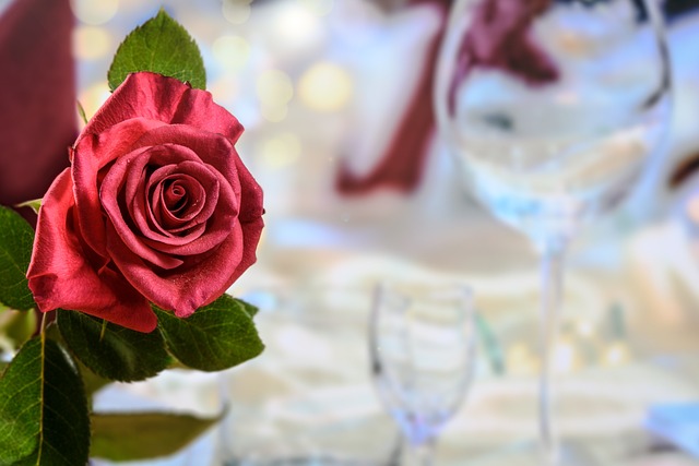 晚餐 红玫瑰 爱 - 上的免费照片
