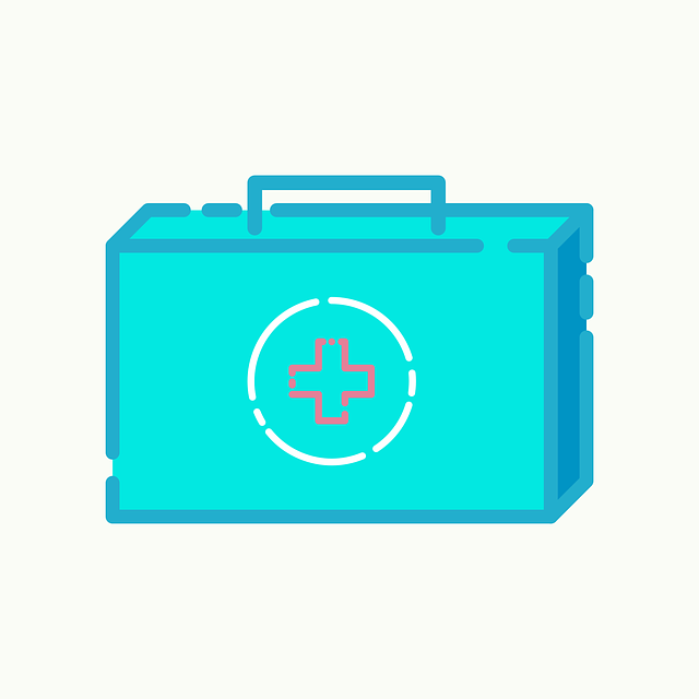 急救 手提箱 医生 - 免费矢量图形