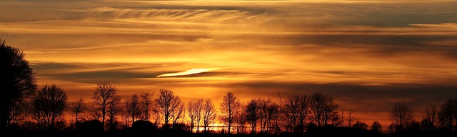 日落 树木 全景 - 上的免费照片