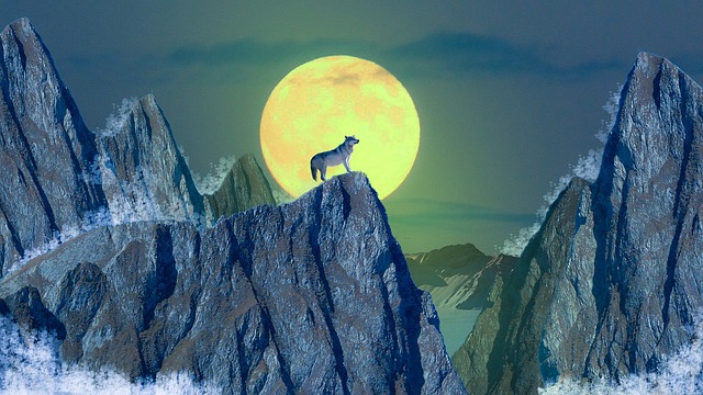 狼 月亮 山 - 上的免费图片