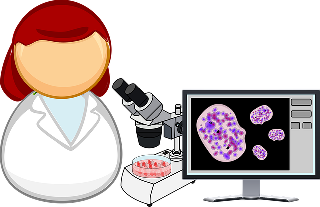 分析 生物学 细胞 - 免费矢量图形