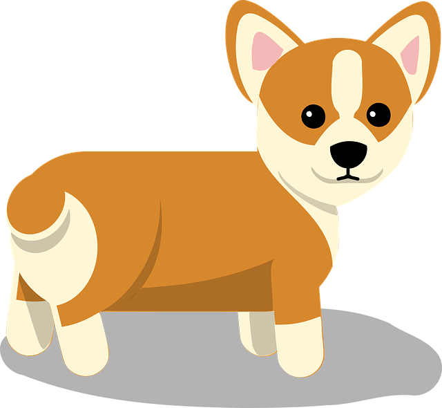 柯基犬 狗 - 免费矢量图形