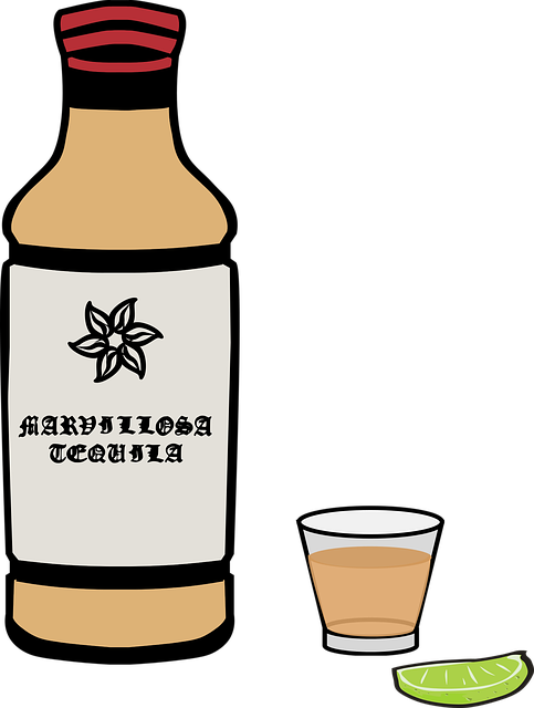 酒精 豪饮 瓶子 - 免费矢量图形
