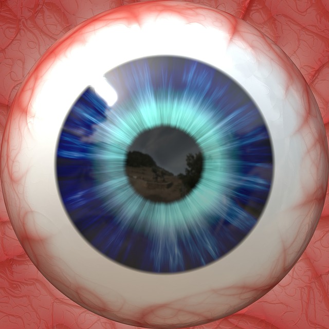 解剖学 眼睛 眼球 - 上的免费图片