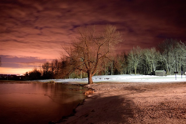 湖 树 冬天 - 上的免费照片
