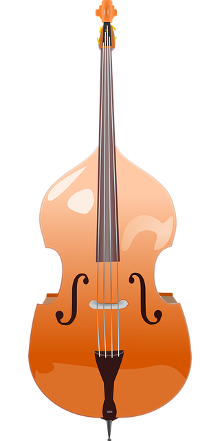 低音提琴 弦乐器 乐器 - 免费矢量图形